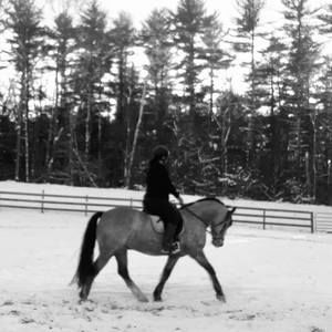 Meet your Posher, Connie